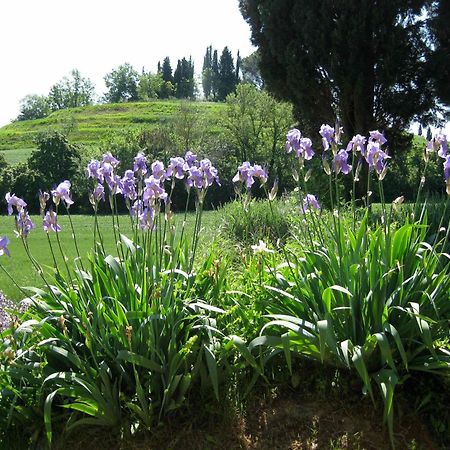 Agriturismo Il Caio Villa Cetona Esterno foto