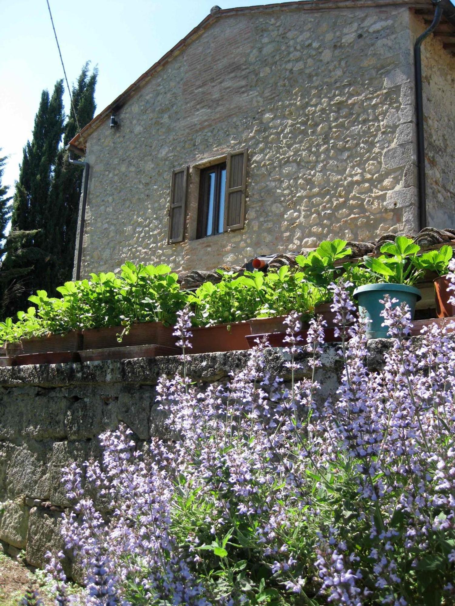 Agriturismo Il Caio Villa Cetona Esterno foto