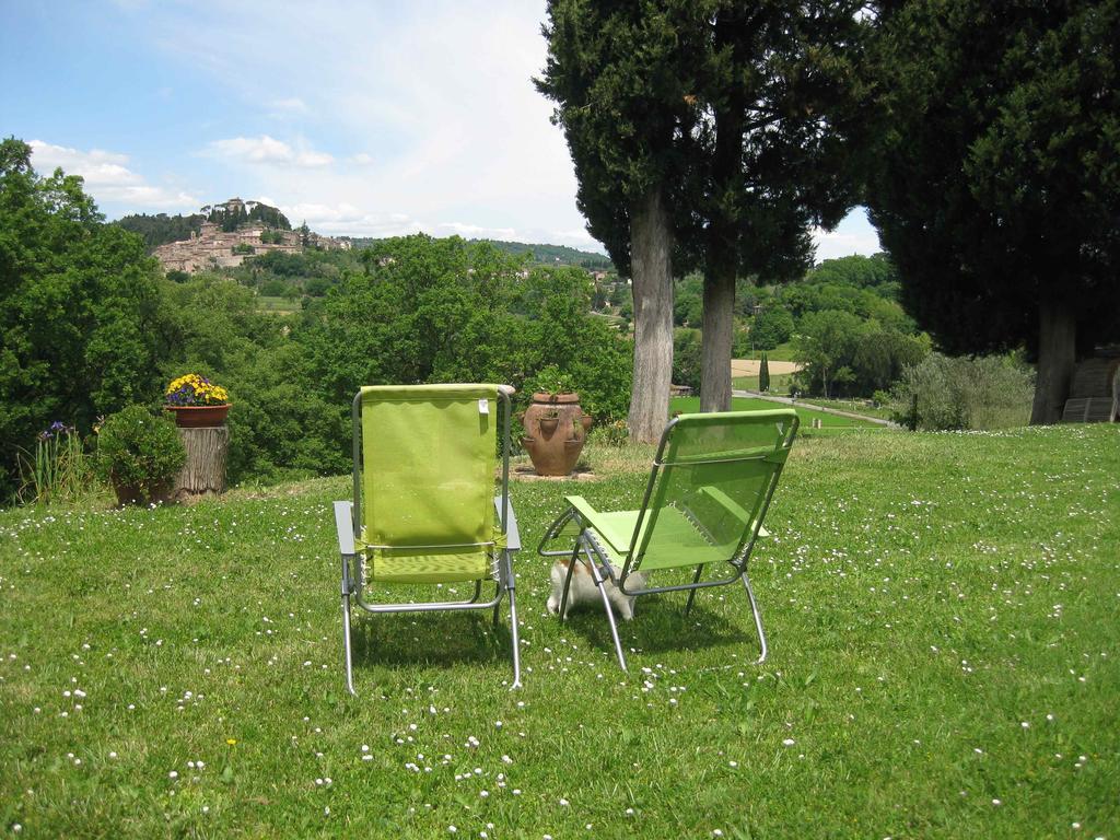 Agriturismo Il Caio Villa Cetona Esterno foto