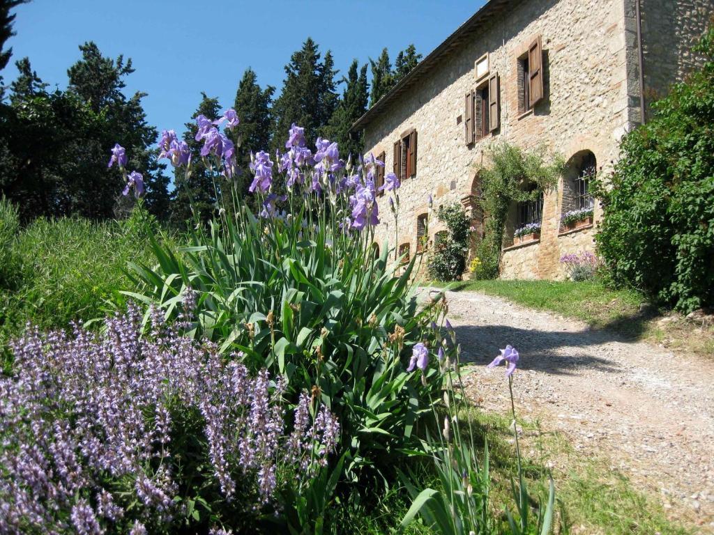 Agriturismo Il Caio Villa Cetona Esterno foto