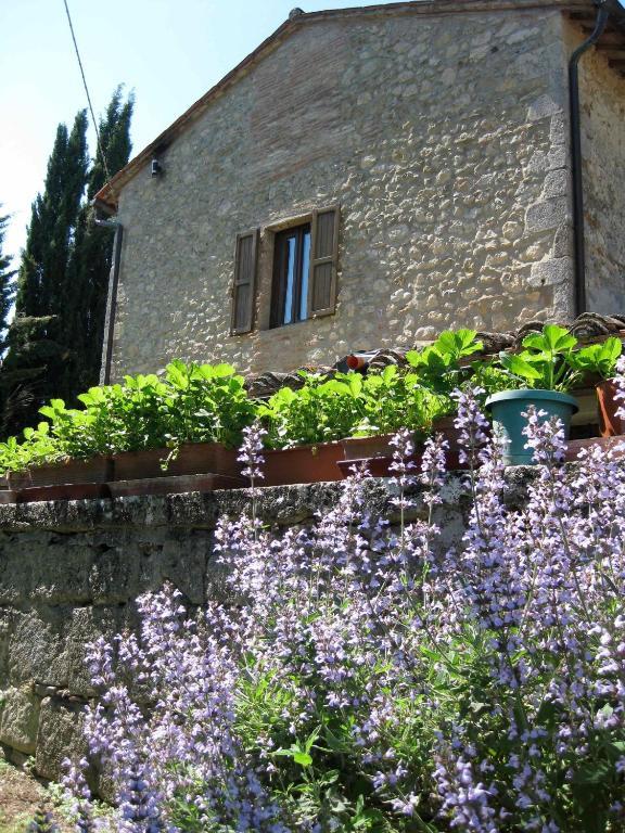 Agriturismo Il Caio Villa Cetona Esterno foto