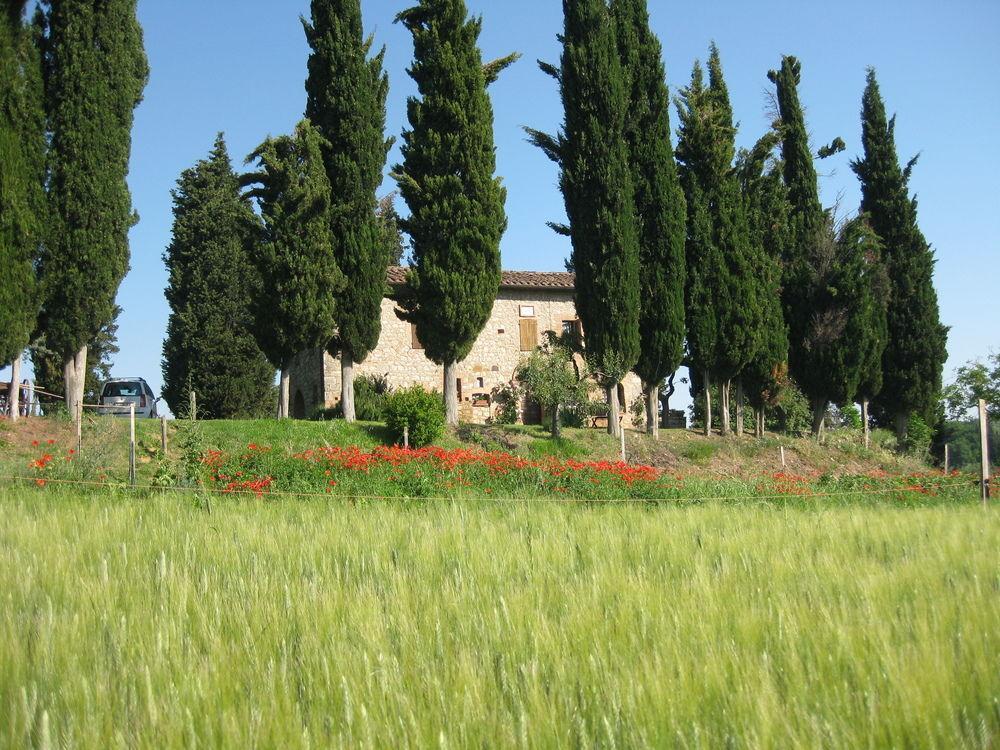 Agriturismo Il Caio Villa Cetona Esterno foto