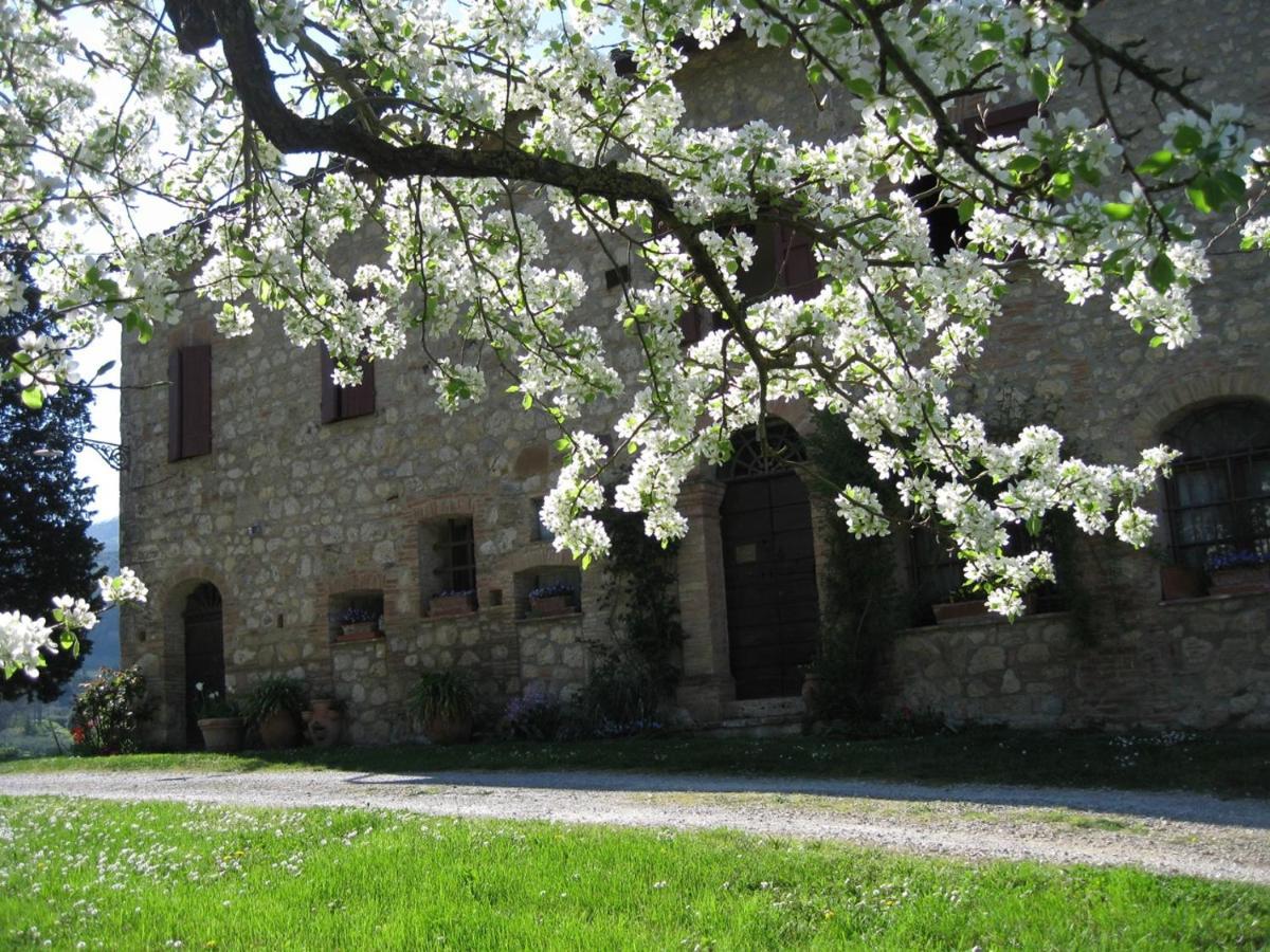 Agriturismo Il Caio Villa Cetona Esterno foto